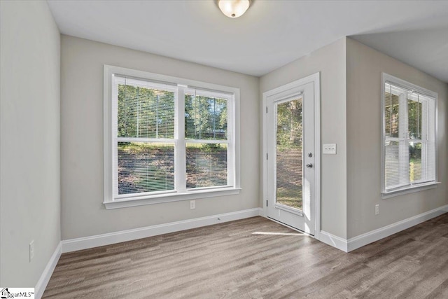 doorway to outside featuring a wealth of natural light and light hardwood / wood-style floors