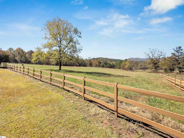 view of yard with a rural view