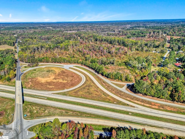 97 Poole Rd, Clinton, SC 29325