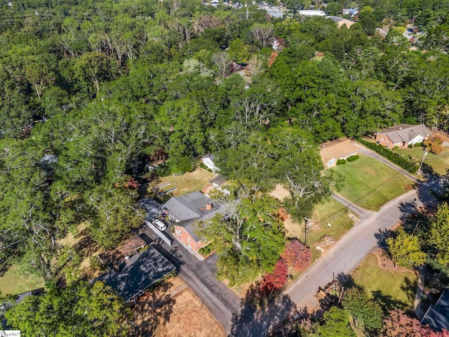 248 Greengate Ln, Spartanburg, SC 29307 - drone / aerial view