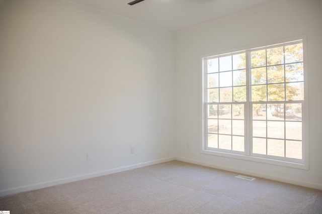 spare room featuring a wealth of natural light and light colored carpet