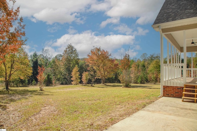 view of yard featuring a patio area