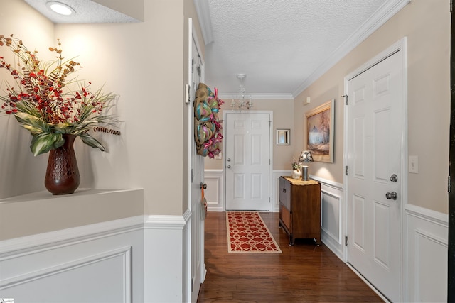 interior space with crown molding, a textured ceiling, and dark wood-type flooring