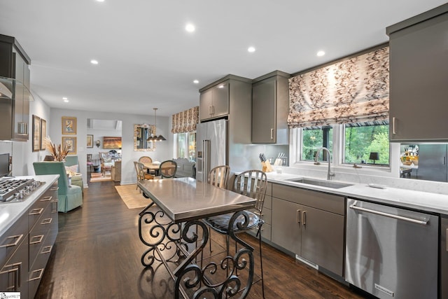 kitchen featuring sink, appliances with stainless steel finishes, gray cabinetry, and dark hardwood / wood-style floors