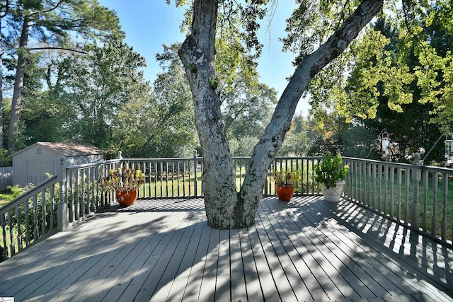 deck with a shed