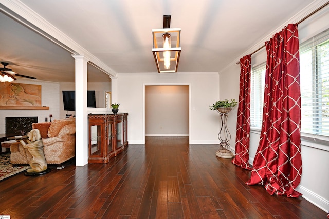 entrance foyer with crown molding, plenty of natural light, and dark hardwood / wood-style floors