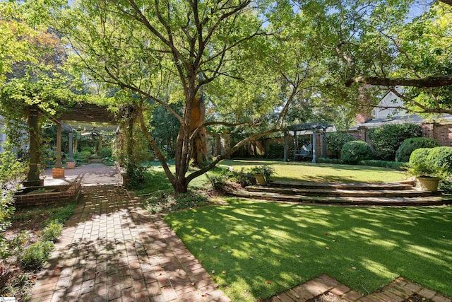 view of yard featuring a patio area and a pergola