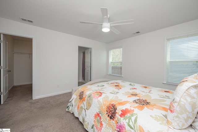 bedroom featuring light carpet, a walk in closet, a closet, and ceiling fan