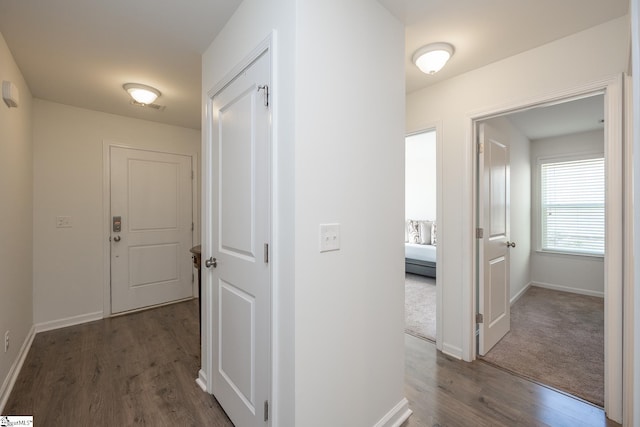 corridor featuring dark wood-type flooring