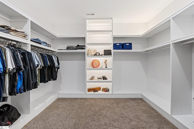 walk in closet with carpet