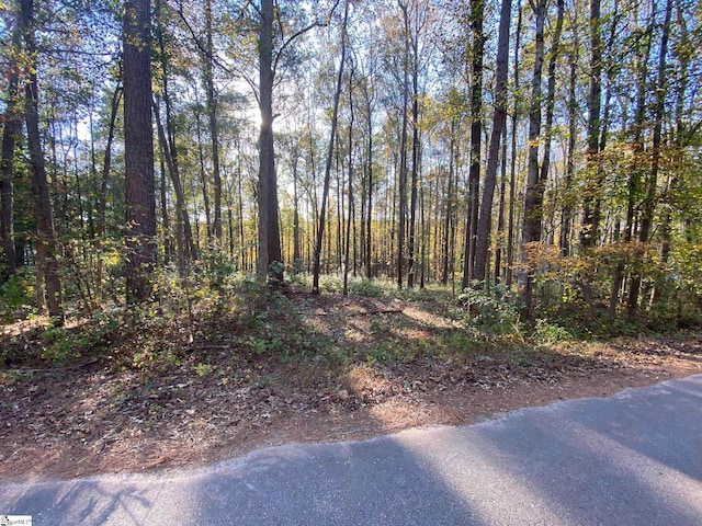 Listing photo 2 for 00 Tammi Ln Tract B, Unit Tract B, Fair Play SC 29643