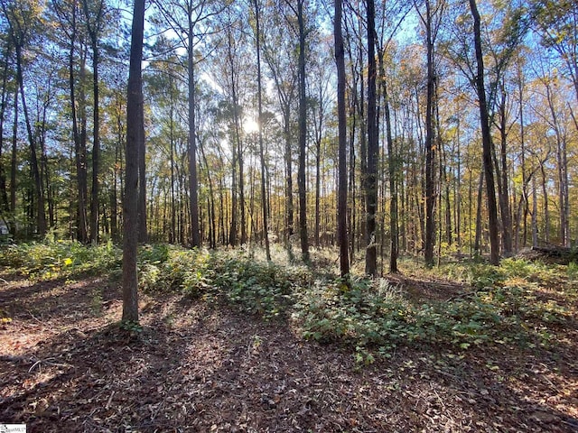 Listing photo 3 for 00 Tammi Ln Tract B, Unit Tract B, Fair Play SC 29643