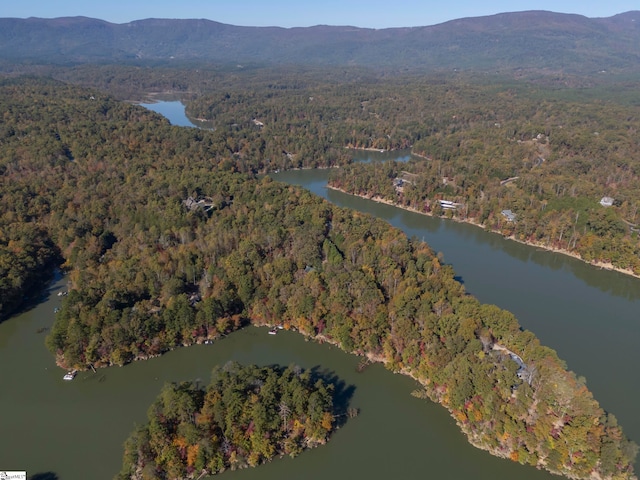 birds eye view of property featuring a water and mountain view