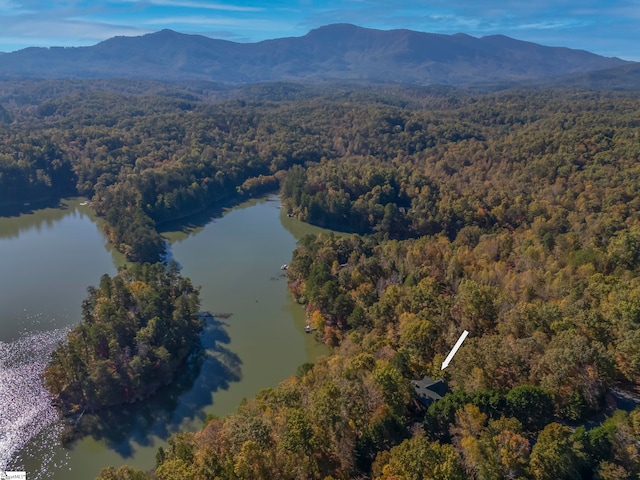 drone / aerial view with a water and mountain view