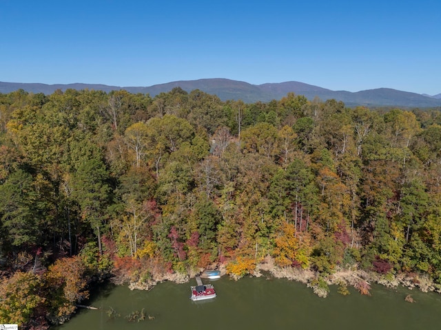 bird's eye view featuring a water and mountain view