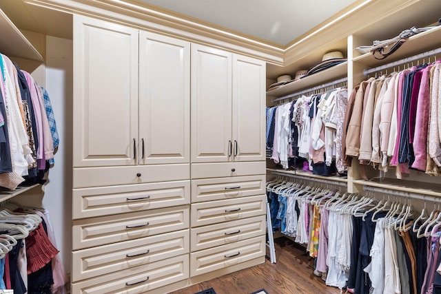 spacious closet with dark hardwood / wood-style floors