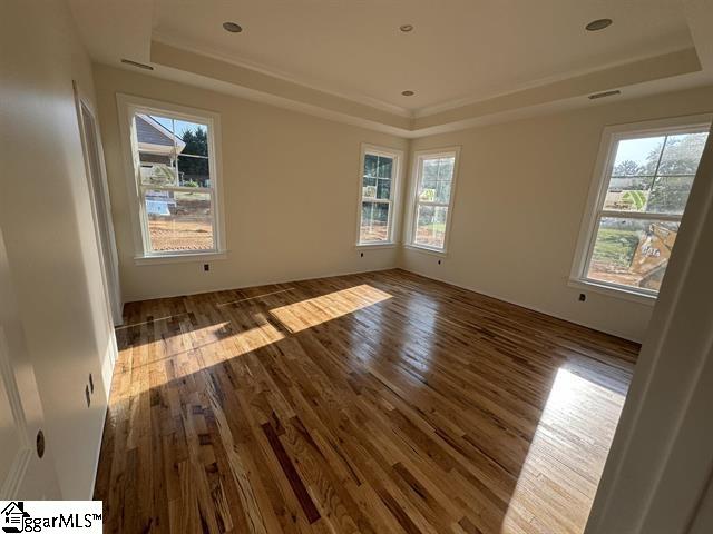 spare room featuring hardwood / wood-style flooring, a healthy amount of sunlight, and a raised ceiling