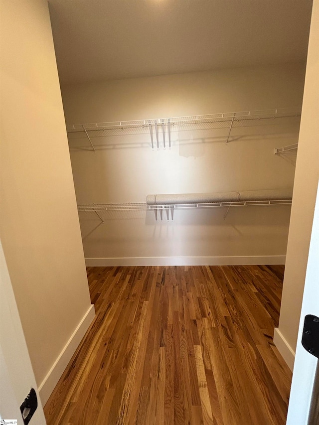 walk in closet featuring hardwood / wood-style flooring