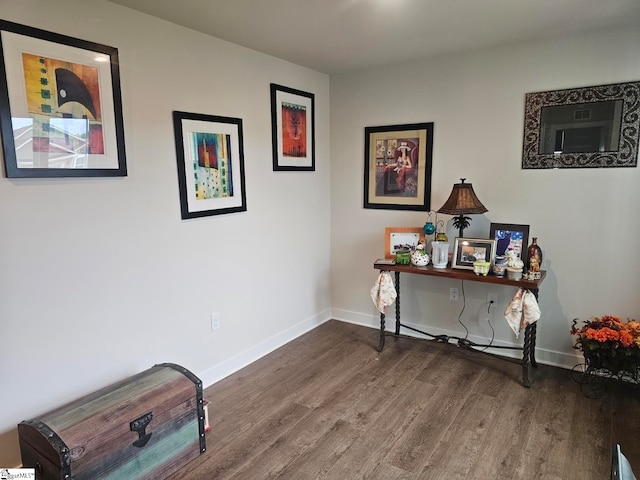 miscellaneous room featuring hardwood / wood-style flooring