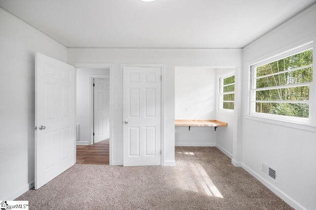 unfurnished bedroom featuring carpet