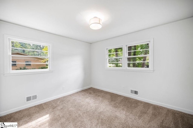 empty room featuring carpet flooring