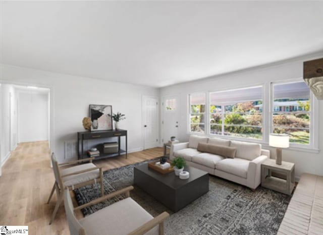 living room with hardwood / wood-style flooring