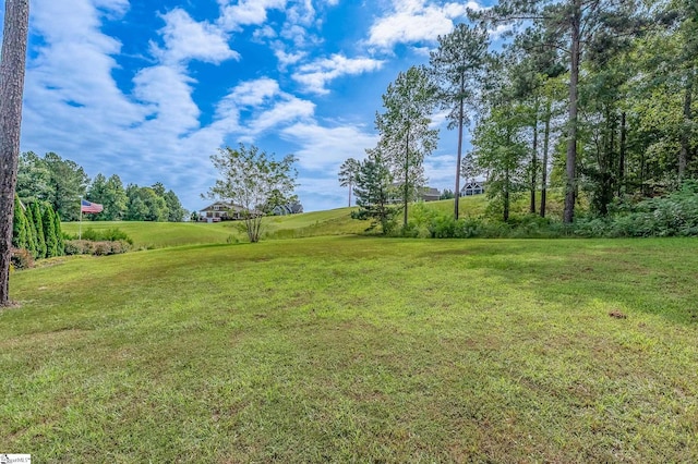 Listing photo 2 for 202 Signature Dr Lot 188, Travelers Rest SC 29690