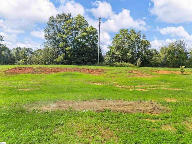 view of yard with a rural view