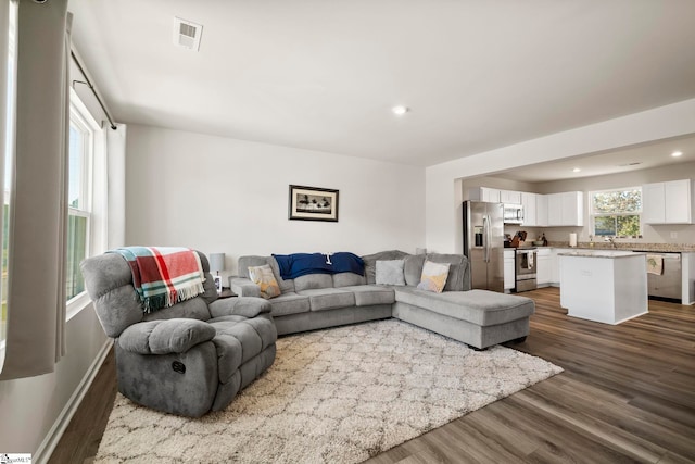 living room with sink and dark wood-type flooring