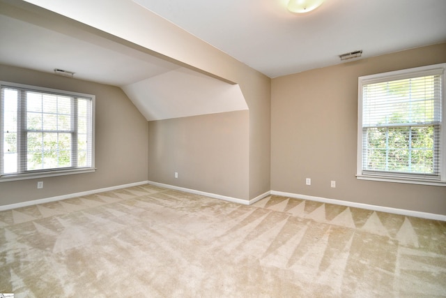 additional living space with light carpet and a wealth of natural light