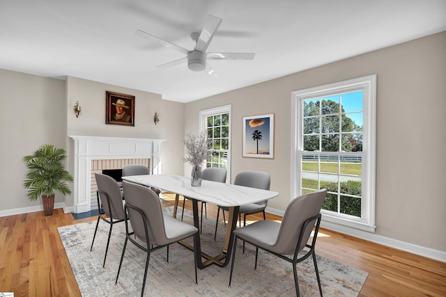 dining space with ceiling fan, a wealth of natural light, light wood-type flooring, and a fireplace