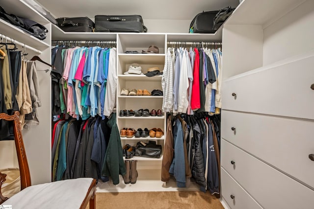 spacious closet with light carpet