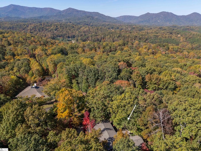 birds eye view of property with a mountain view