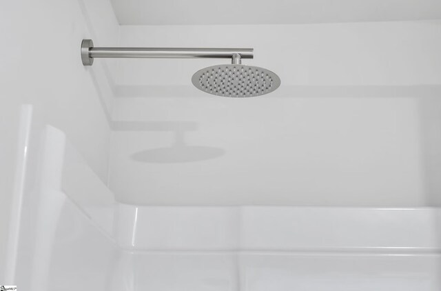 interior details featuring walk in shower