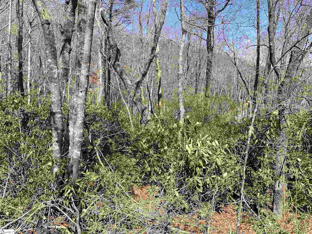 12 Blazing Star Trl, Landrum SC, 29356 land for sale