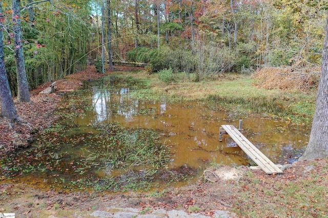 view of yard with a water view