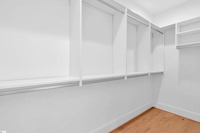 spacious closet with hardwood / wood-style flooring