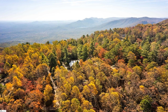 property view of mountains