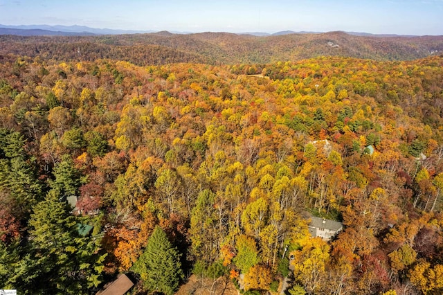 aerial view with a mountain view