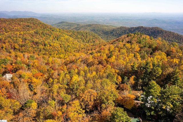 view of mountain feature