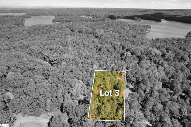 Listing photo 3 for 03 Camp Creek Rd Lot 3, Townville SC 29689