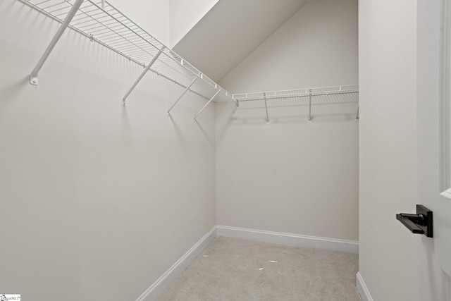 walk in closet featuring light carpet