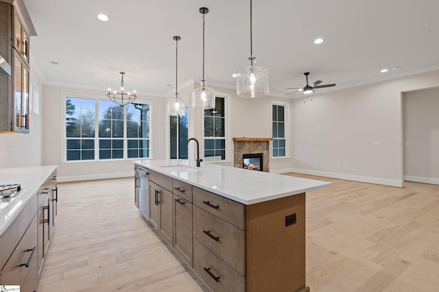 kitchen with a large island, pendant lighting, and light wood-type flooring