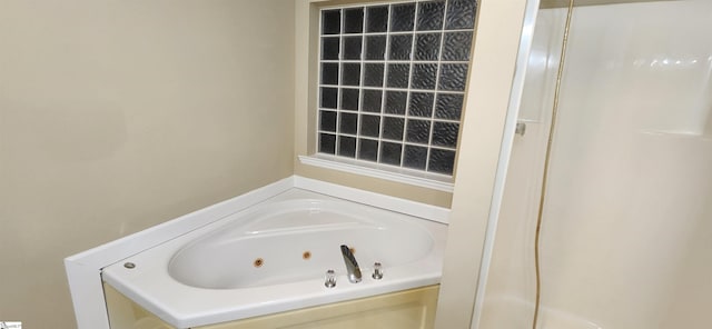 bathroom featuring a bathing tub