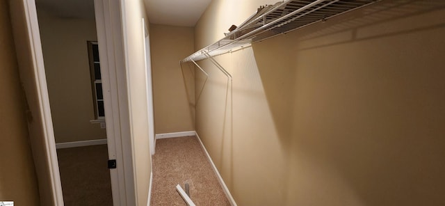 spacious closet featuring carpet flooring