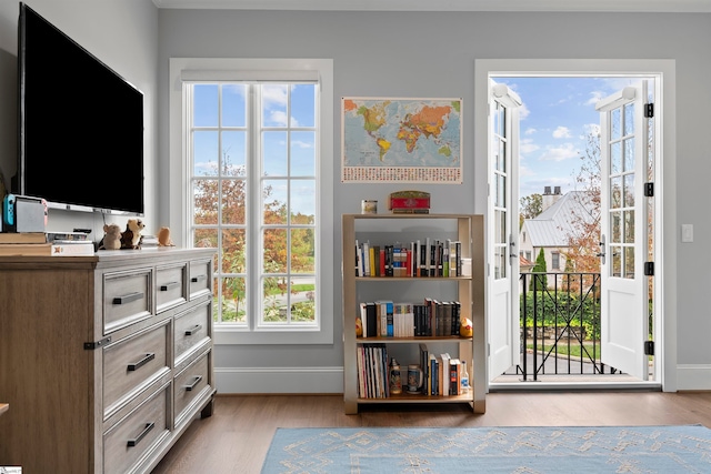 doorway featuring light hardwood / wood-style flooring