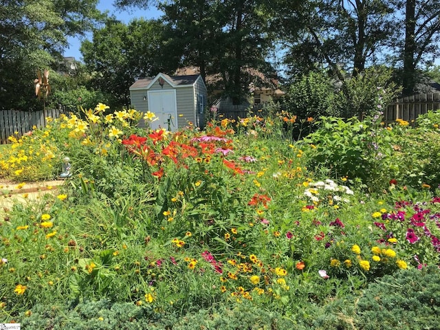 view of yard featuring a shed