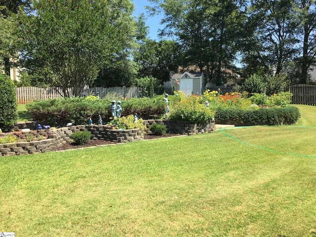 view of yard with a shed