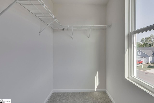 spacious closet with carpet floors