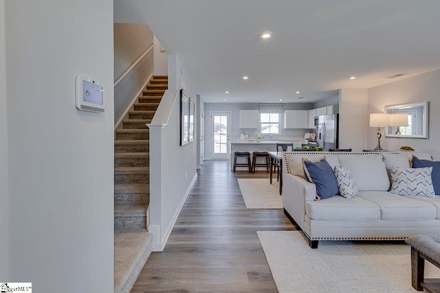 living room with sink and wood-type flooring